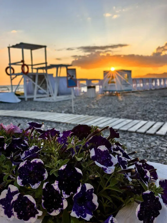 Апартамент в парке у моря