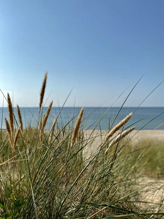 Квартира Квартира Апартамент Orange — Светлогорск