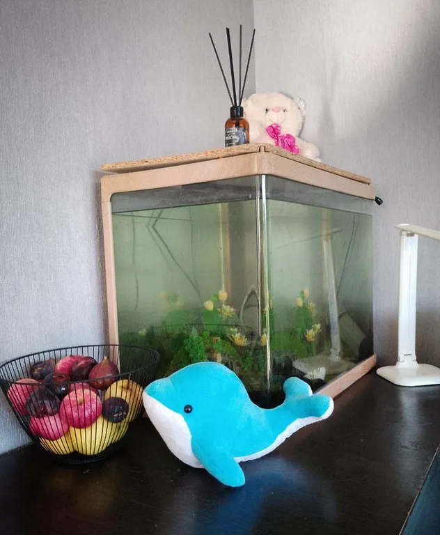 Новый дом в заповедных горах Лоо