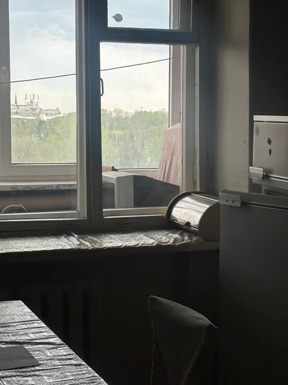 Квартира с видом на Кремль через дорогу от метро