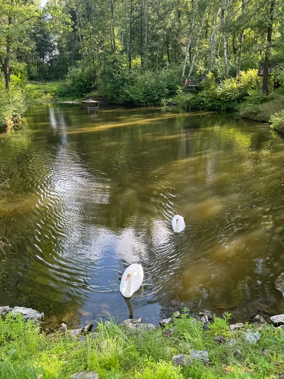 Дом с сауной  в Капитан Клаб