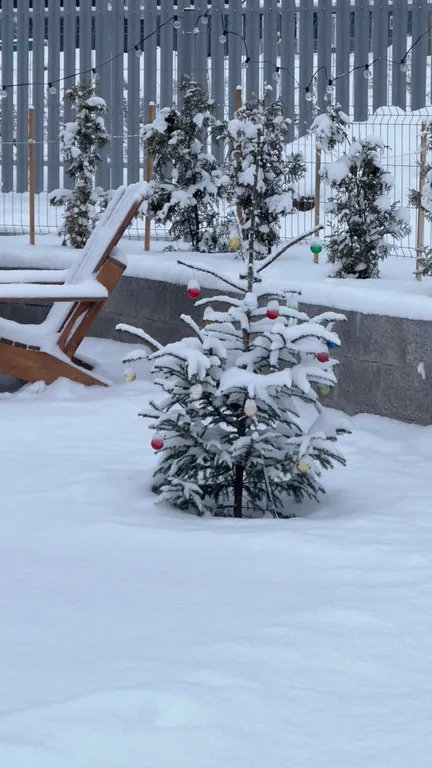 Коттедж Уютный загородный дом у живописного озера, с шикарной новогодней елкой — Санкт-Петербург