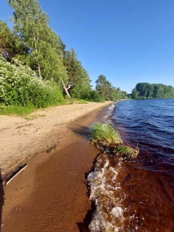 Уютный дом с прекрасным видом на лес и озеро
