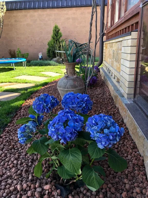 Уютная дача