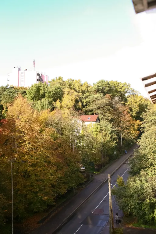 Квартира Атмосферная квартира с качелями в 5 минутах от моря — Светлогорск