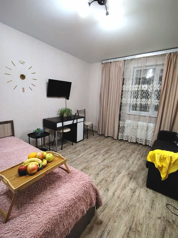 Уютная однокомнатная квартира