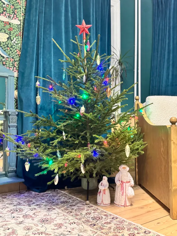 Дом с лосем