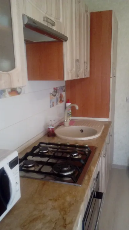 Квартира Уютная квартира возле озера Тихое — Светлогорск