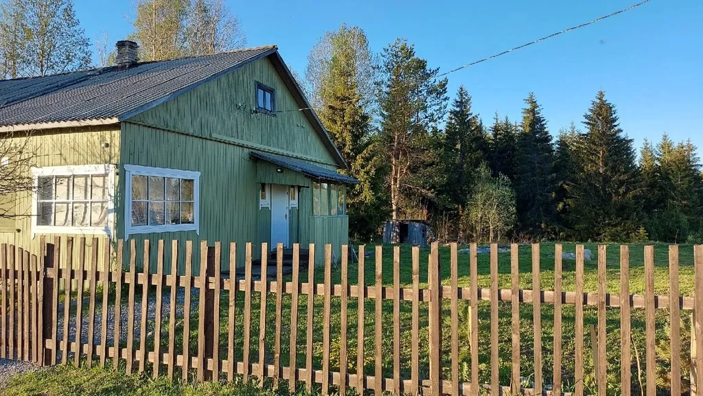 Дом с баней у леса