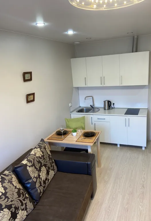 Квартира Уютная студия рядом с лесом и речкой — аренда посуточно в Сертолово