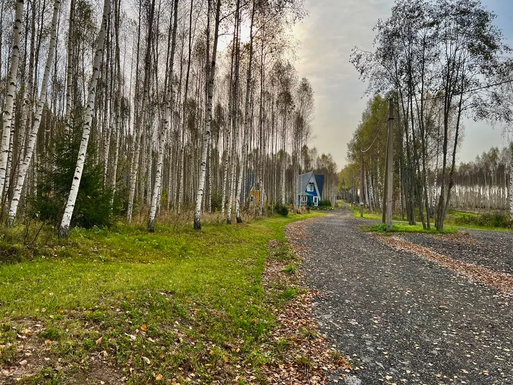 Уютный A-Frame в лесном массиве на берегу реки