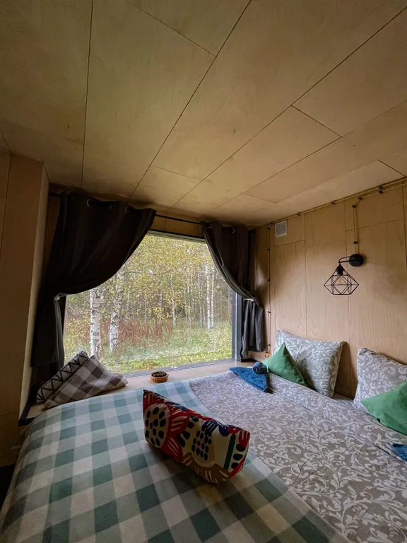 Папоротник