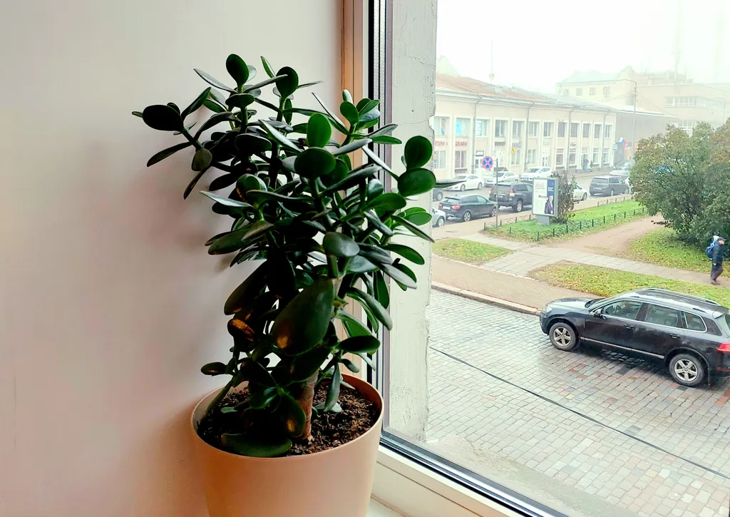 Солнечные апартаменты в финском доме возле Красной площади