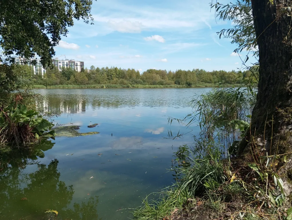 Квартира Квартира Евродвушка — Калининград