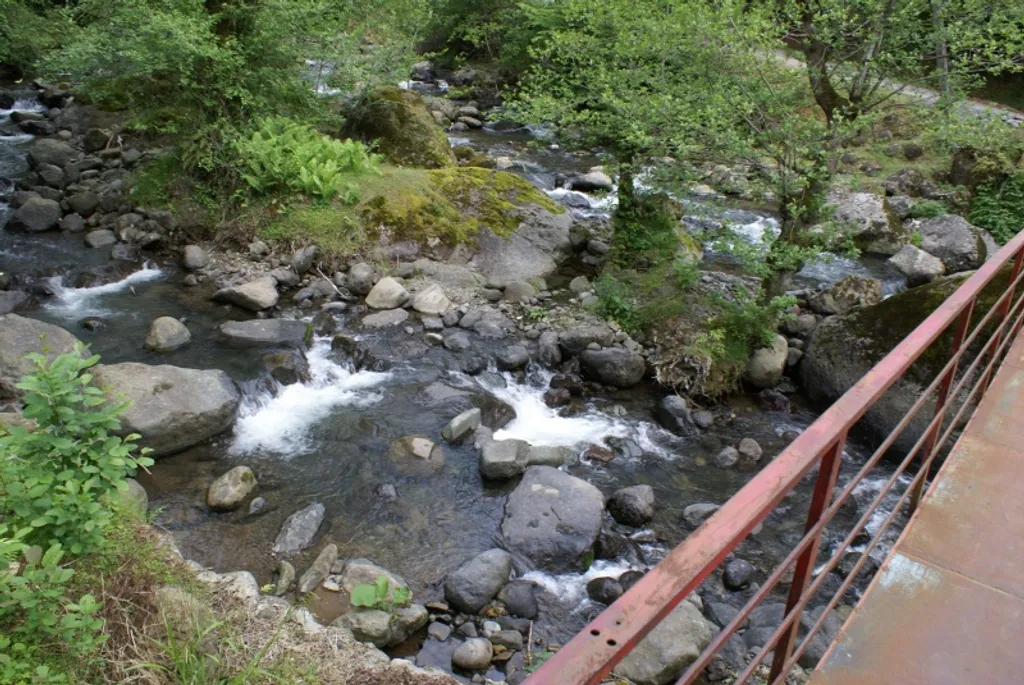 Квартира Квартира Дом в деревне на горной речке в 15 километрах от Батуми — Зеда Тхилнари