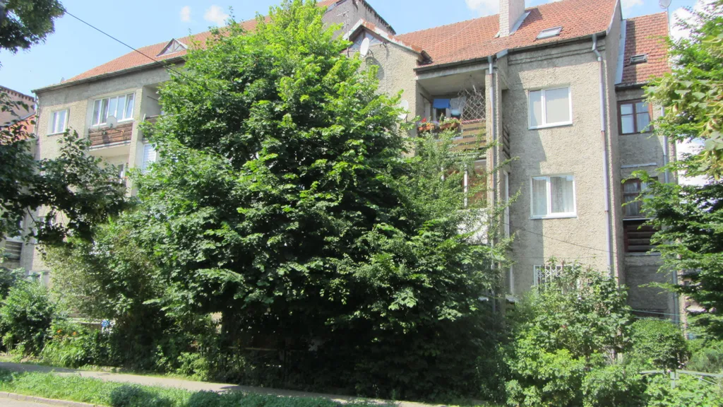 Шикарный район, отличная цена