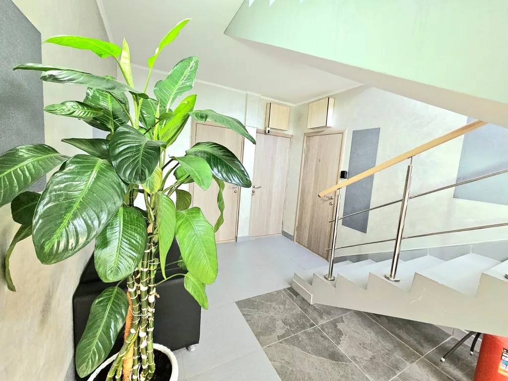 Квартира Квартира Студия в новом доме в тихом районе — Цемдолина