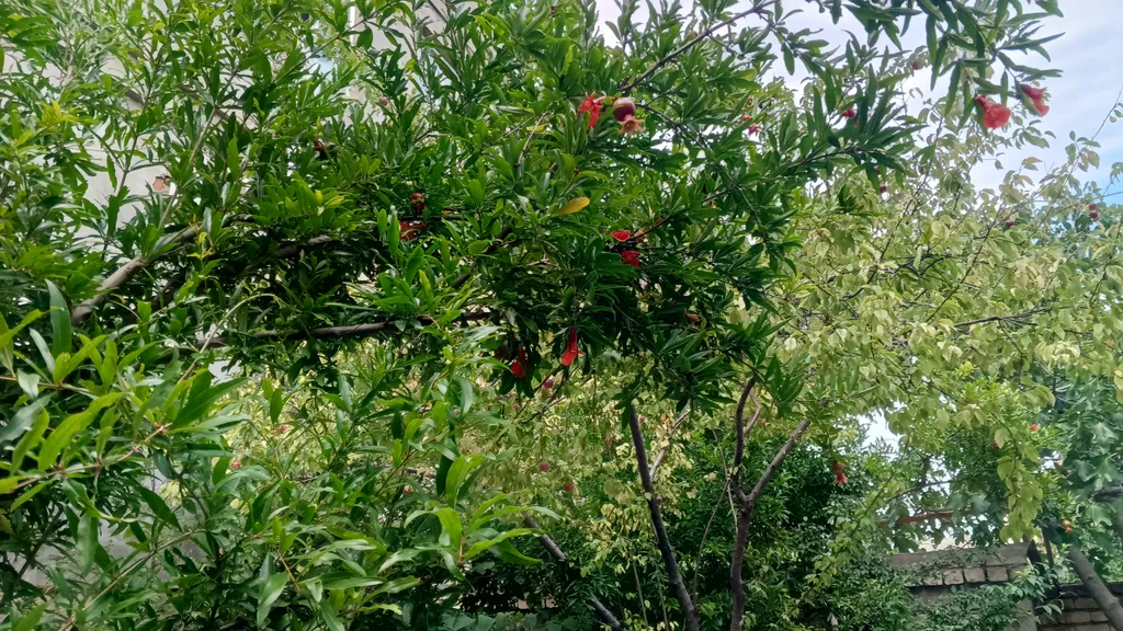 Студия в гостевом доме Каспий, близ смотровой площадки