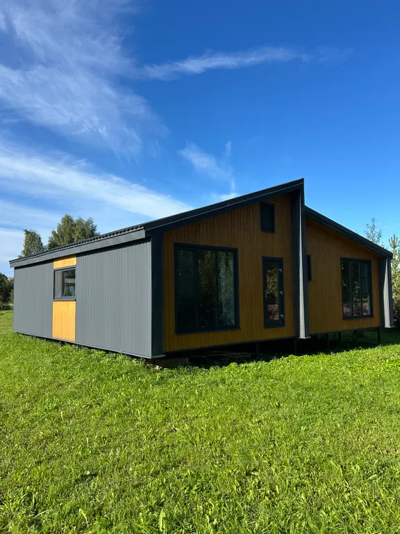 Дача у Цапли