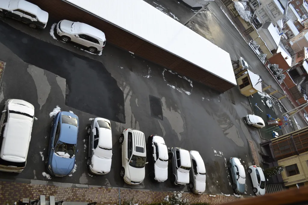 Студия Виктория-Русь