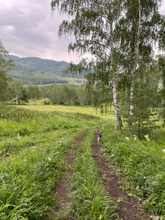 Теремок в горах бревенчатый дом и баня