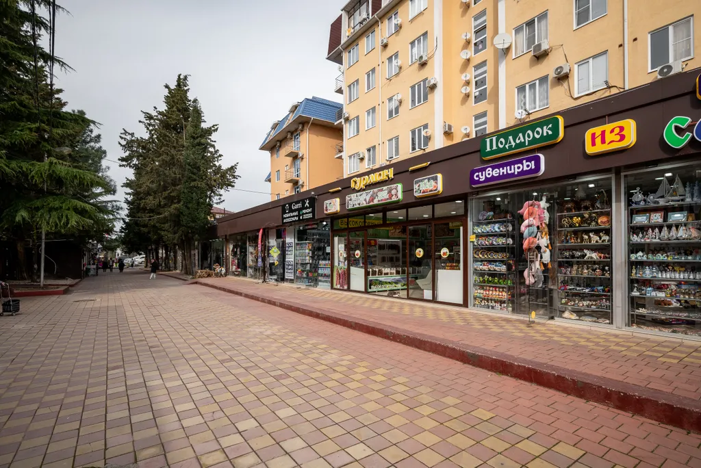 Квартира По-домашнему уютная квартира у моря в центре Адлера — Сириус