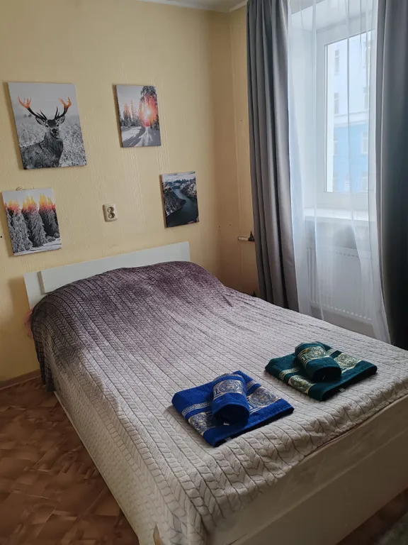 Квартира Апартаменты у белого кролика — аренда посуточно в Мурманск