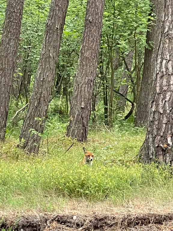 Уют и комфорт в трёх шагах от моря