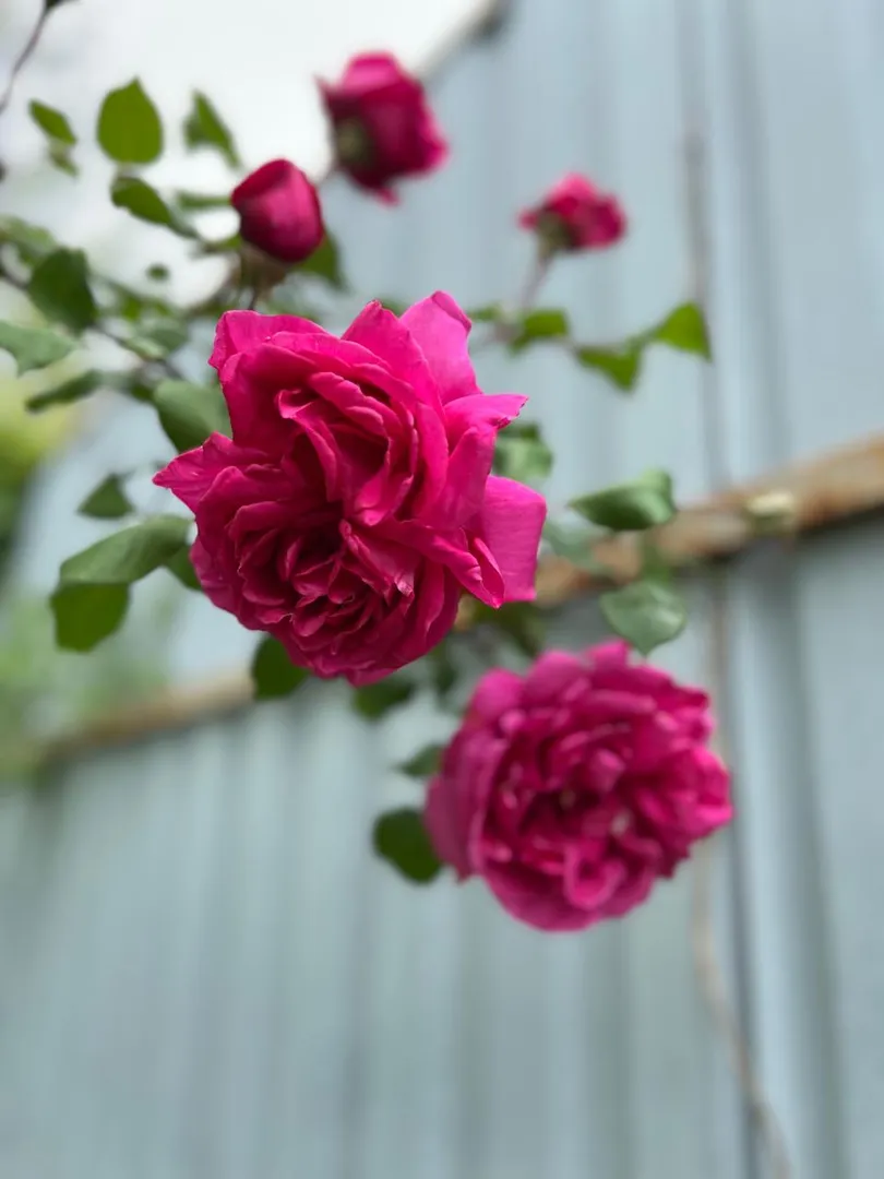 Фото