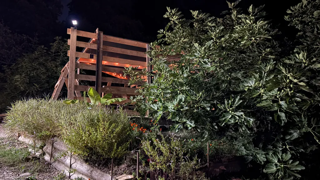 Домик на море, тихое и спокойное место, дубовая роща