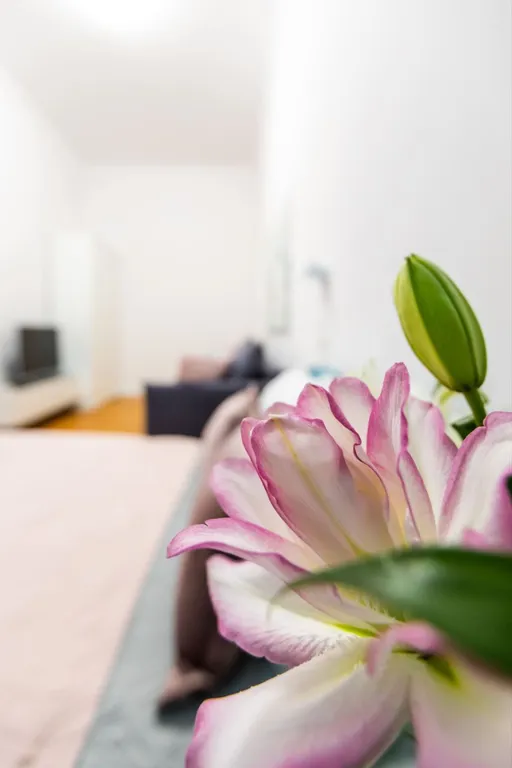 Вид на собор, шаг до Невского