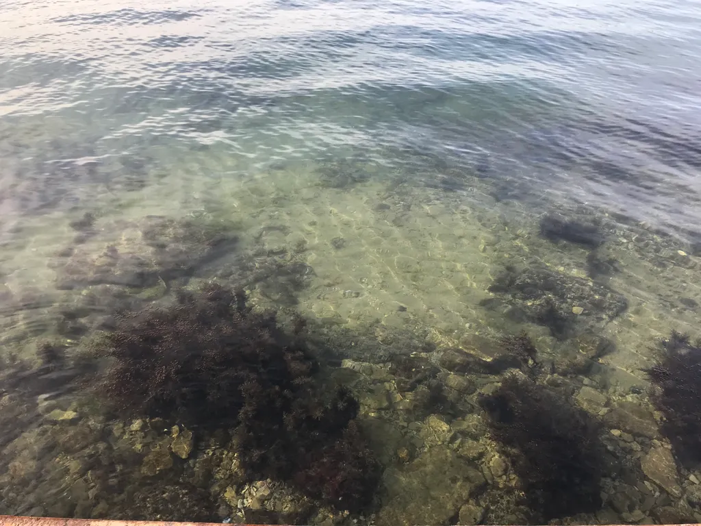 Коттедж Дом с видом на море для семейного отдыха — Севастополь