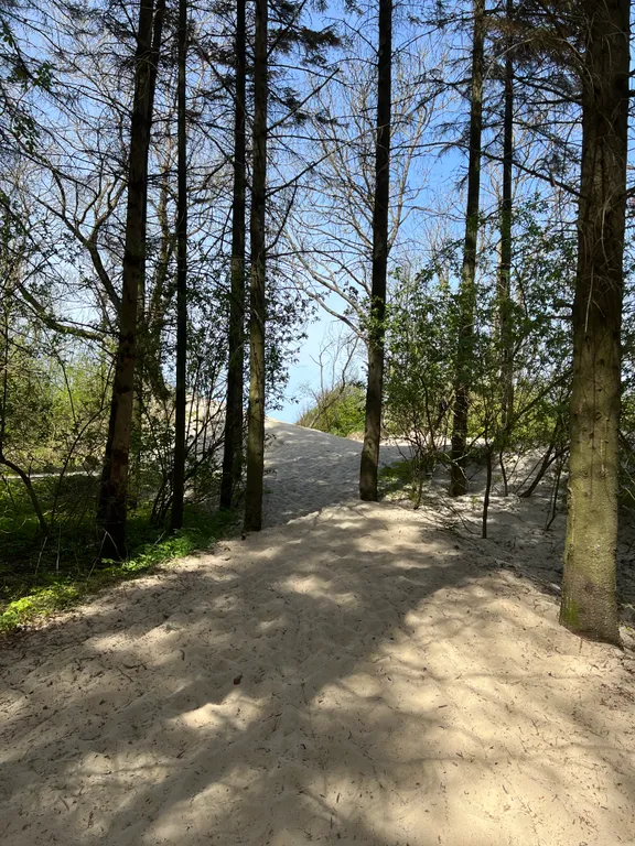 Коттедж Дом для отдыха семьей — Сокольники