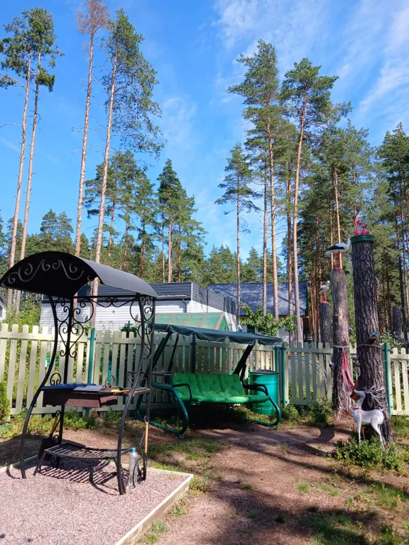 Уютный новый дом в сосновом лесу на берегу Финского залива