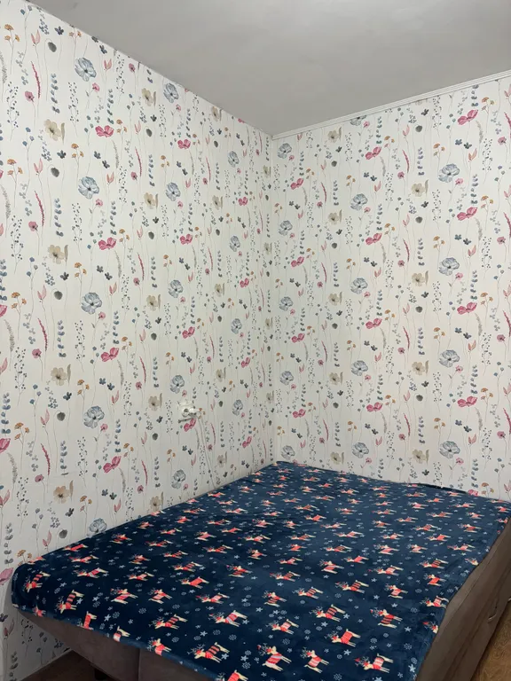 Квартира Гостинка рядом с КГЦО и МНТК — аренда посуточно в Хабаровск