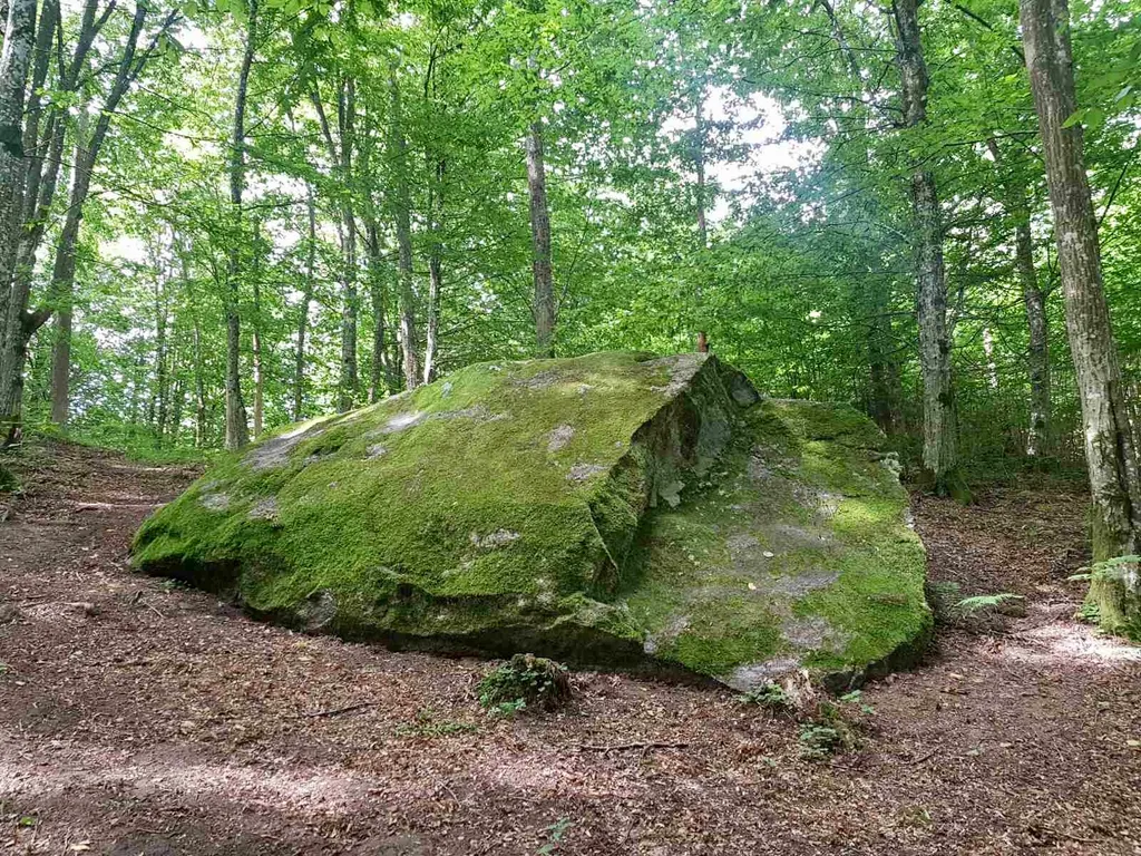 Апартаменты в Краснолесье