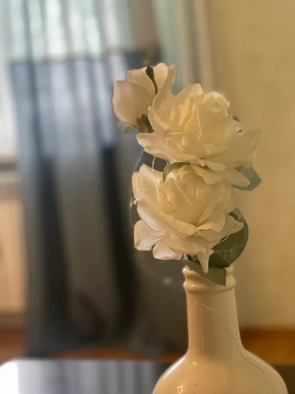 Квартира Комфортабельная квартира в центре — Тверь