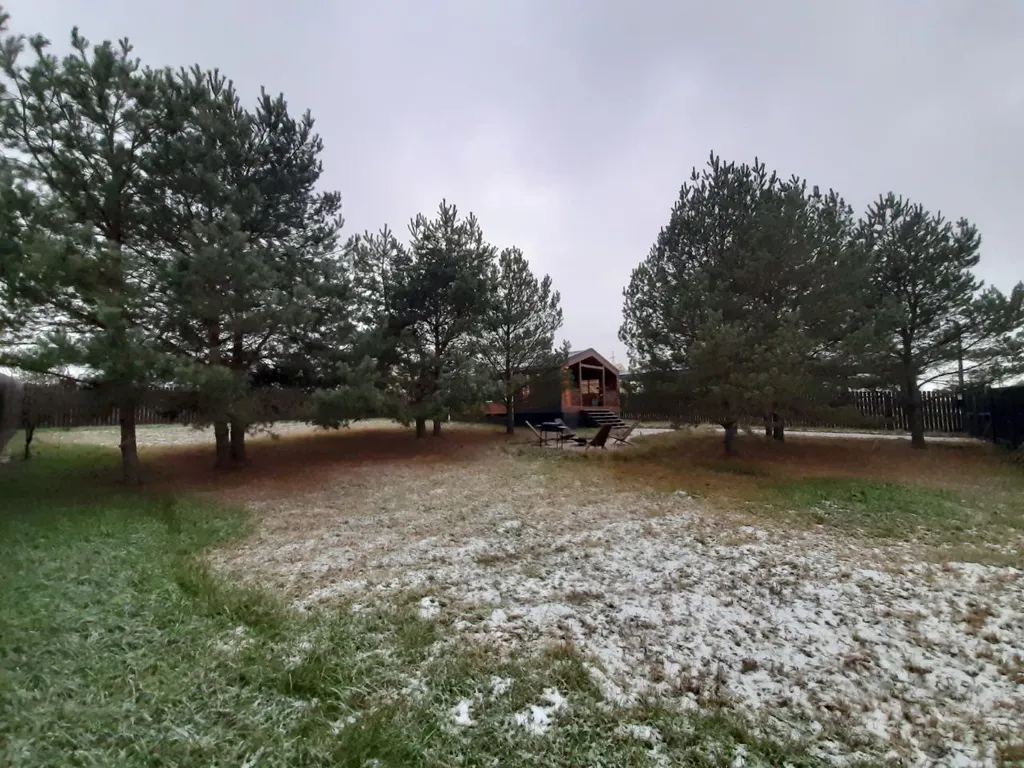 Дом в  соснах.