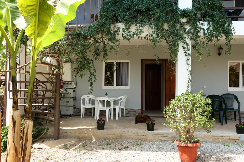 Гостевой дом «Давид» ждет вас для уютного отдыха в Абхазии!