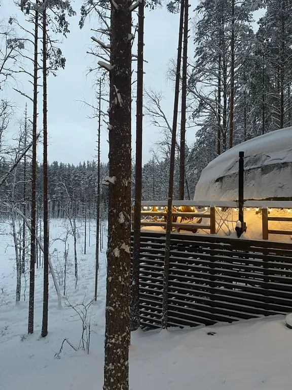 Коттедж Лесной дом лодж с купелью — Четверяково