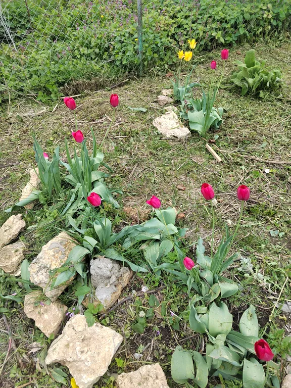 Теплая и уютная дача Антоновские яблоки, рядом парк Кудыкина гора