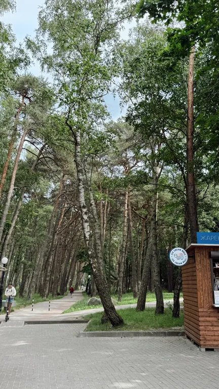 1-комнатная квартира с новым ремонтом на море