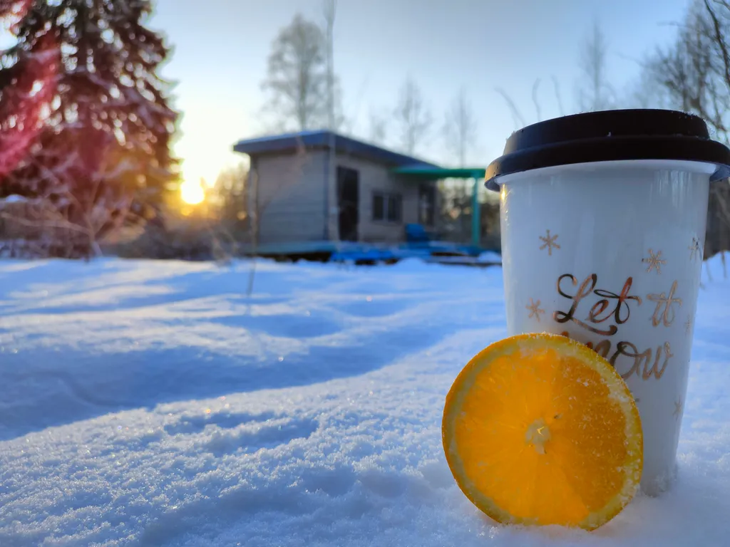 Коттедж Дом Леса — Краснознаменка