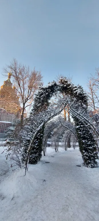 Большая квартира на Ольгином пруду.