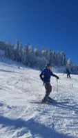 Александр Лешкевич