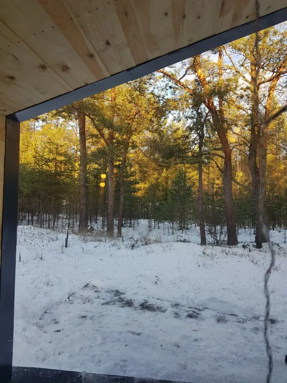 Дом в сосновом лесу