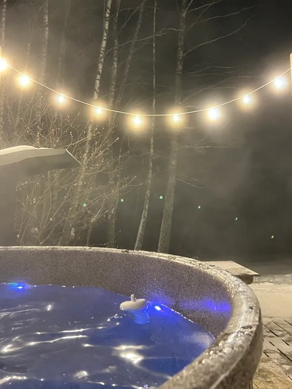 Гостевой дом среди березовой рощи с видом на поле и лес