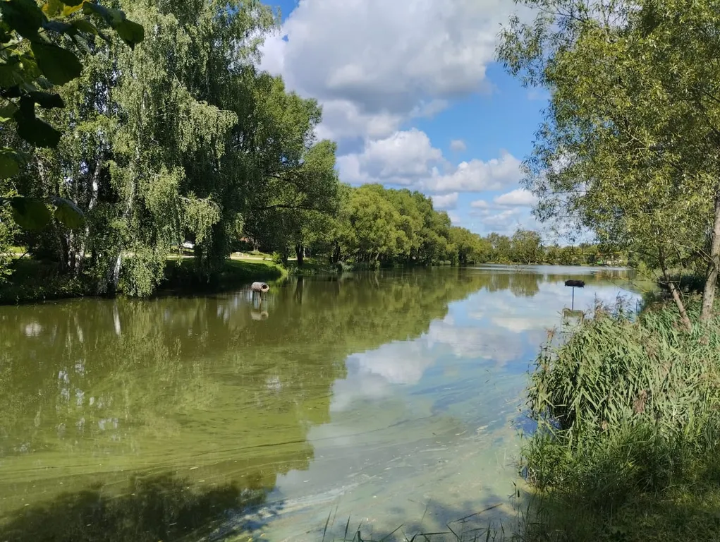 Уютный дом для отдыха в Орудьево