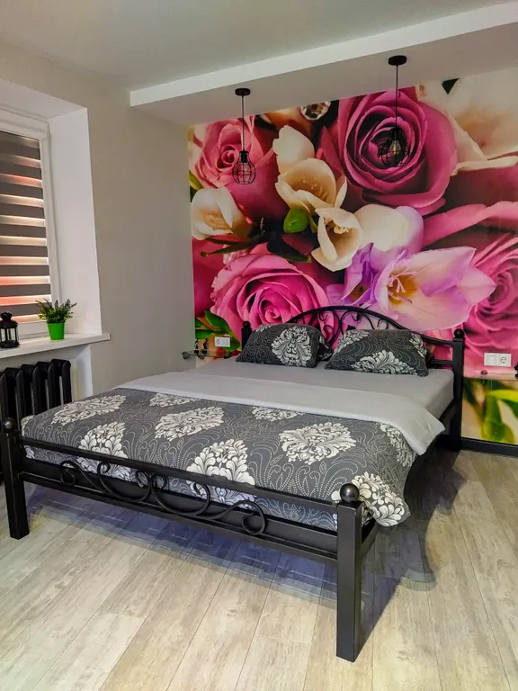 Квартира студия у Лидского замка