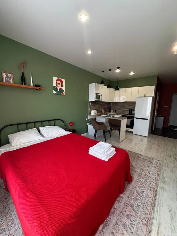 Студия рядом с аэропортом